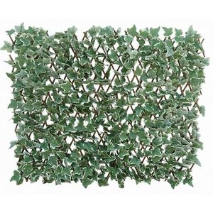 Zástěna umělé listy 90x180 WXX30931-7 obraz