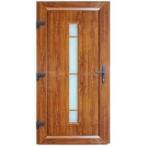 Vchodové dveře Pula D36 98x198x7 90L zlatý dub obraz