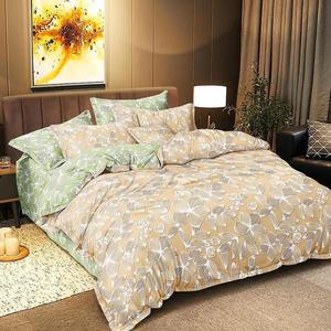 Povlečení z mikrovlákna ALBS-7309 200x220 Lasher obraz