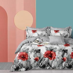 Povlečení z mikrovlákna ALBS-7410 200x220 Lasher obraz