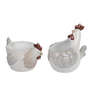 Obal na rostliny slepice obraz