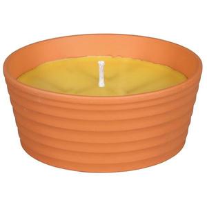 Svíce Citronella Sirius 92206ČM obraz