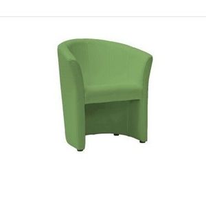 Signal Křeslo TM-1 Barva: Zelená / EK-11 obraz
