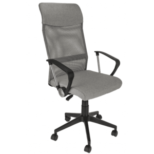 ArtJum Kancelářská židle ZOOM | šedá obraz