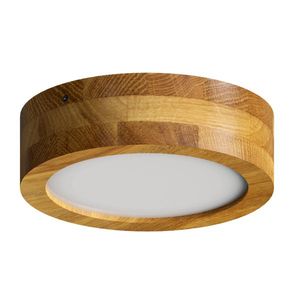 APLED LED stropní svítidlo Rondo Woodline Dub kulaté 200mm 12W Barva světla: Teplá bílá 21614 obraz