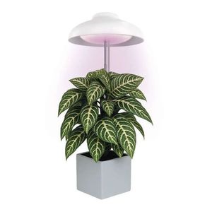 EMOS Bílá LED pěstební lampička 5W Z7901 obraz