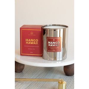 Svíčka Mango Hawaii Silver obraz
