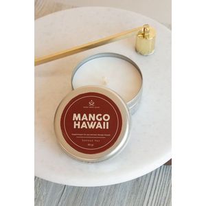 Svíčka Mango Hawaii Metal obraz