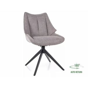 Židle Coda Brego obraz