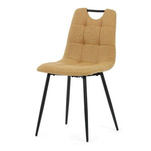 Jídelní židle DCL-V2017 Autronic obraz