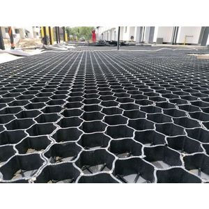 Zatravňovací dlaždice - 60x40x4 cm Rojaplast obraz