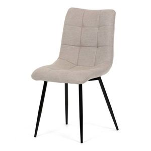 Jídelní židle DCL-193 Autronic obraz