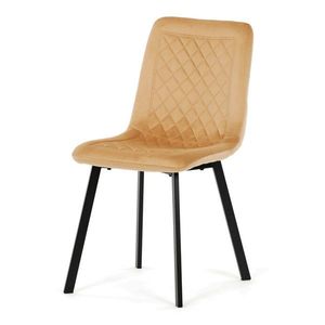 Jídelní židle DCL-973 Autronic obraz