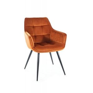 Jídelní křeslo LILIA ELVET Signal obraz