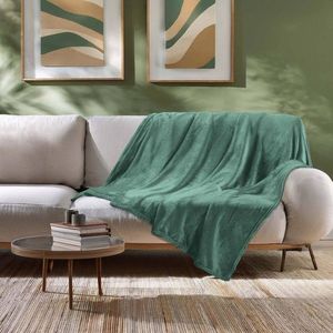 Fleecový hebký pléd z mikrovlákna obraz