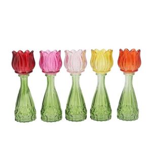 5ks barevný mix skleněný svícen/ váza tulipán Love Tulip - Ø 7*18 cm 314042 obraz