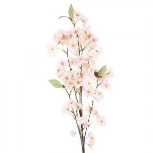 Větvička třešeň s růžovými květy Cherry Blossom - 10*12*90 cm 5PL0233P obraz