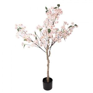 Umělý stromek třešeň s růžovými květy Cherry Blossom- 30*30*120 cm 5PL0230 obraz