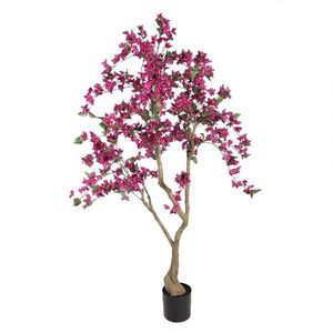 Stromek s růžovými květy Bougainvillea Tree - 80*80*180 cm 5PL0220 obraz