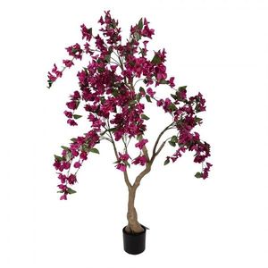 Stromek s růžovými květy Bougainvillea Tree - 100*100*150 cm 5PL0219 obraz