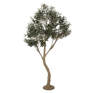 Dekorační strom olivovník s olivami Olea Tree - 140*130*250 cm 5PL0142 obraz
