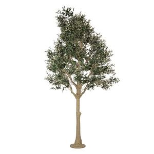 Dekorační strom olivovník s olivami Olea Tree - 170*150*320 cm 5PL0145 obraz
