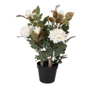 Dekorační květina růže v květináči s bílými květy Rose white - 20*20*55 cm 6PL0413W obraz