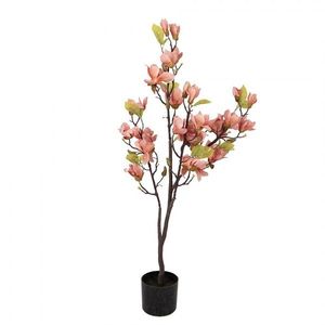 Dekorační stromek Magnolia s lososovými květy - 20*15*120 cm 5PL0208O obraz
