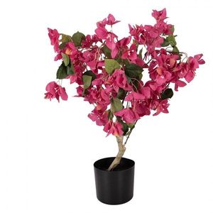 Stromek s růžovými květy Bougainvillea Tree - 30*30*90 cm 5PL0228 obraz