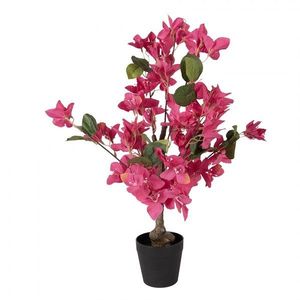 Stromek s růžovými květy Bougainvillea Tree - 25*25*60 cm 5PL0227 obraz