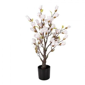 Dekorační stromek Magnolia s narůžovělými květy - 20*20*75 cm 5PL0207 obraz
