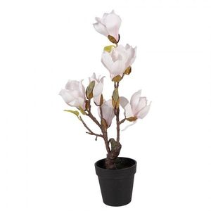 Dekorační stromek Magnolia s narůžovělými květy - 12*12*40 cm 6PL0414 obraz