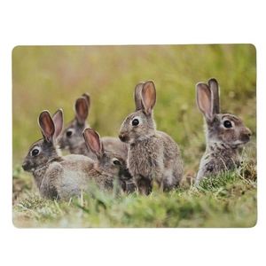 4ks pevné korkové prostírání králičí rodina v trávě - 30*40*0, 4cm SCPMKF obraz
