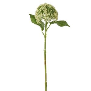 Bílo-zelená dekorační květina Hortenzie Annabelle - 12*12*42 cm 63827 obraz