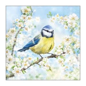 Papírové ubrousky se sýkorkou na rozkvetlé větvi Blossom - 33*33 cm (20ks) 13320355 obraz
