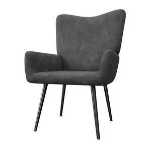 Křeslo ušák skandinávské, šedé obraz