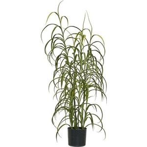 Umělá rostlina (výška 89 cm) Grass – House Nordic obraz