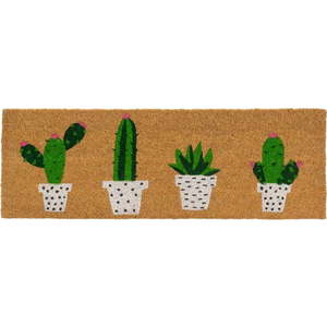 Rohožka z kokosového vlákna 25x75 cm Cactus – Casa Selección obraz