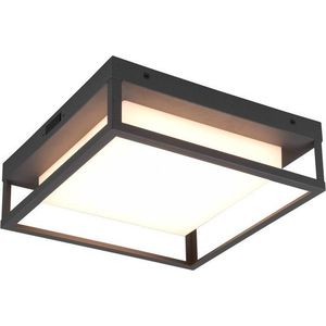 LED nástěnné venkovní svítidlo (výška 10 cm) Witham – Trio obraz
