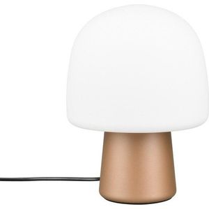 Stolní lampa v bílo-bronzové barvě se skleněným stínidlem (výška 27 cm) Steen – Trio obraz