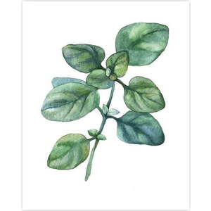 Plakát 40x50 cm obraz