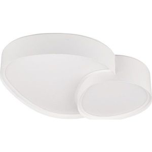 Bílé LED stropní svítidlo 36x43.5 cm Rise – Trio obraz
