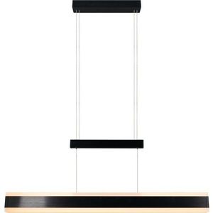 Matně černé LED závěsné svítidlo s kovovým stínidlem Arcola – Trio obraz