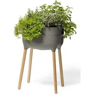 Zelená pěstební samozavlažovací nádoba Urbalive - Plastia obraz