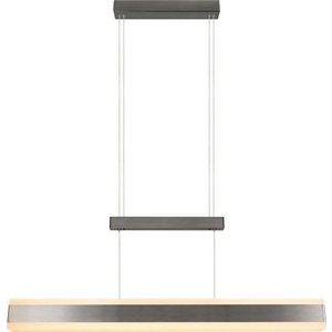 LED závěsné svítidlo v matně stříbrné barvě s kovovým stínidlem Arcola – Trio obraz