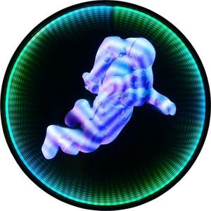 Černá nástěnná světelná dekorace do zásuvky ø 60 cm Duke – Reality obraz