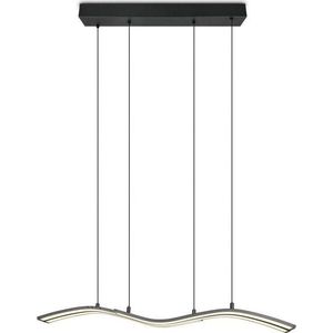 Matně černé kovové LED závěsné svítidlo na dálkové ovládání/stmívatelné Spider – Trio Select obraz