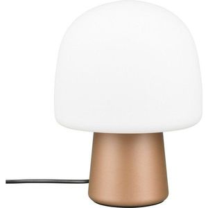 Stolní lampa v bílo-bronzové barvě se skleněným stínidlem (výška 27 cm) Steen – Trio obraz