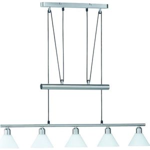 Závěsné svítidlo ve stříbrné barvě se skleněným stínidlem Stamina – Trio obraz