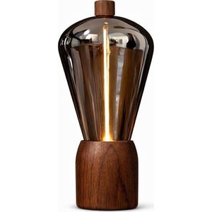 Přenosná světelná dekorace na USB ø 7 cm Opal – Gingko obraz